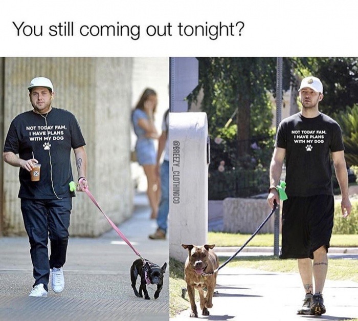 T-shirt about being busy with your dog worn by Jonah Hill and Justin Timberlake