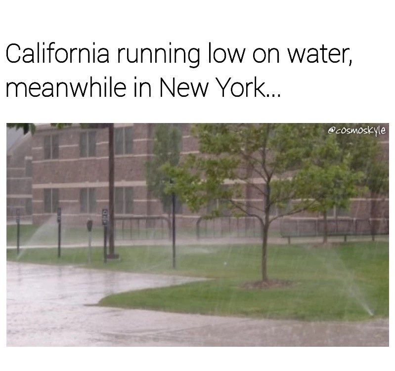 meme - sprinklers on in rain - California running low on water, meanwhile in New York...