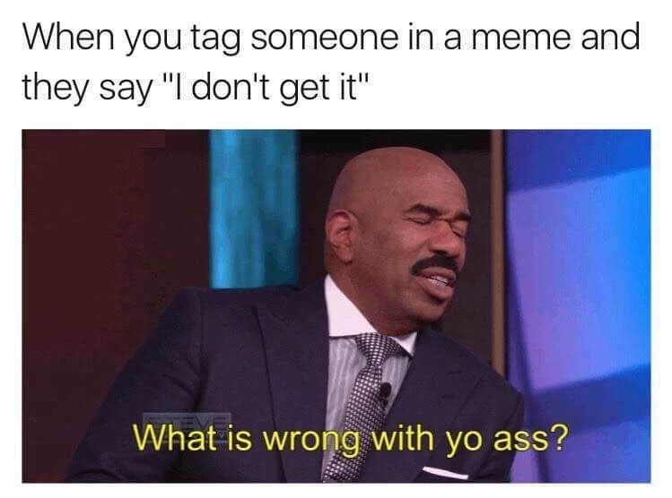 meme - what's wrong with you gif - When you tag someone in a meme and they say "I don't get it" What is wrong with yo ass?