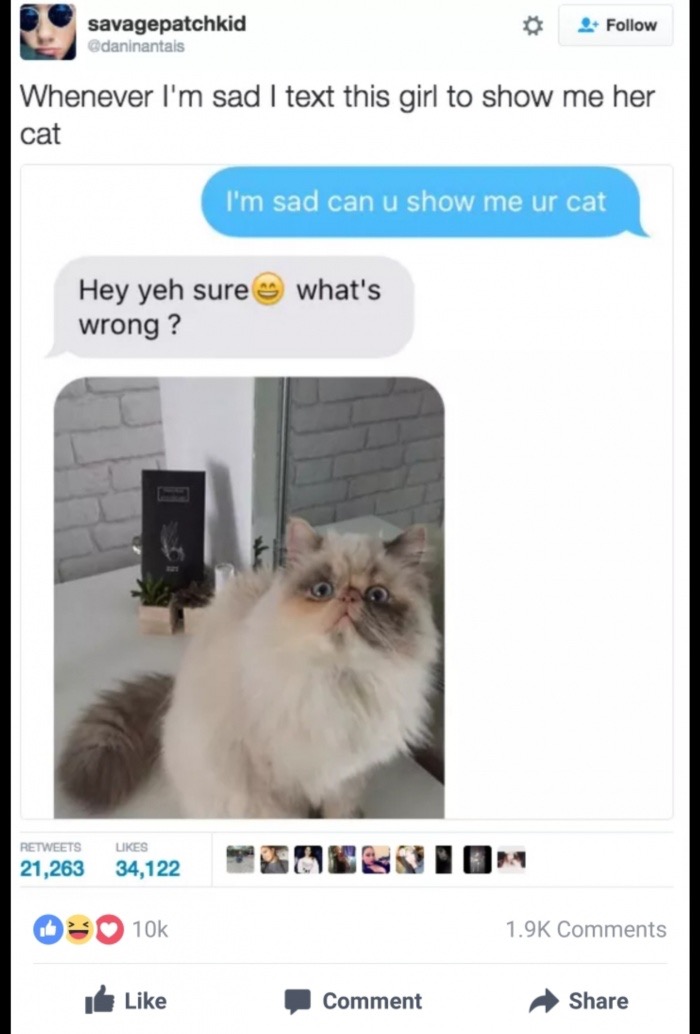 meme stream - cat tweet - savagepatchkid Whenever I'm sad I text this girl to show me her cat I'm sad can u show me ur cat what's Hey yeh sure wrong? Oranio 21,26334,122 Op 10k Comment