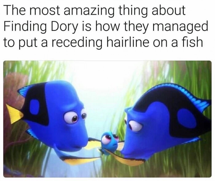 Meme about finding Dory and how amazing it is that they managed to put a receding hairline on a fish.