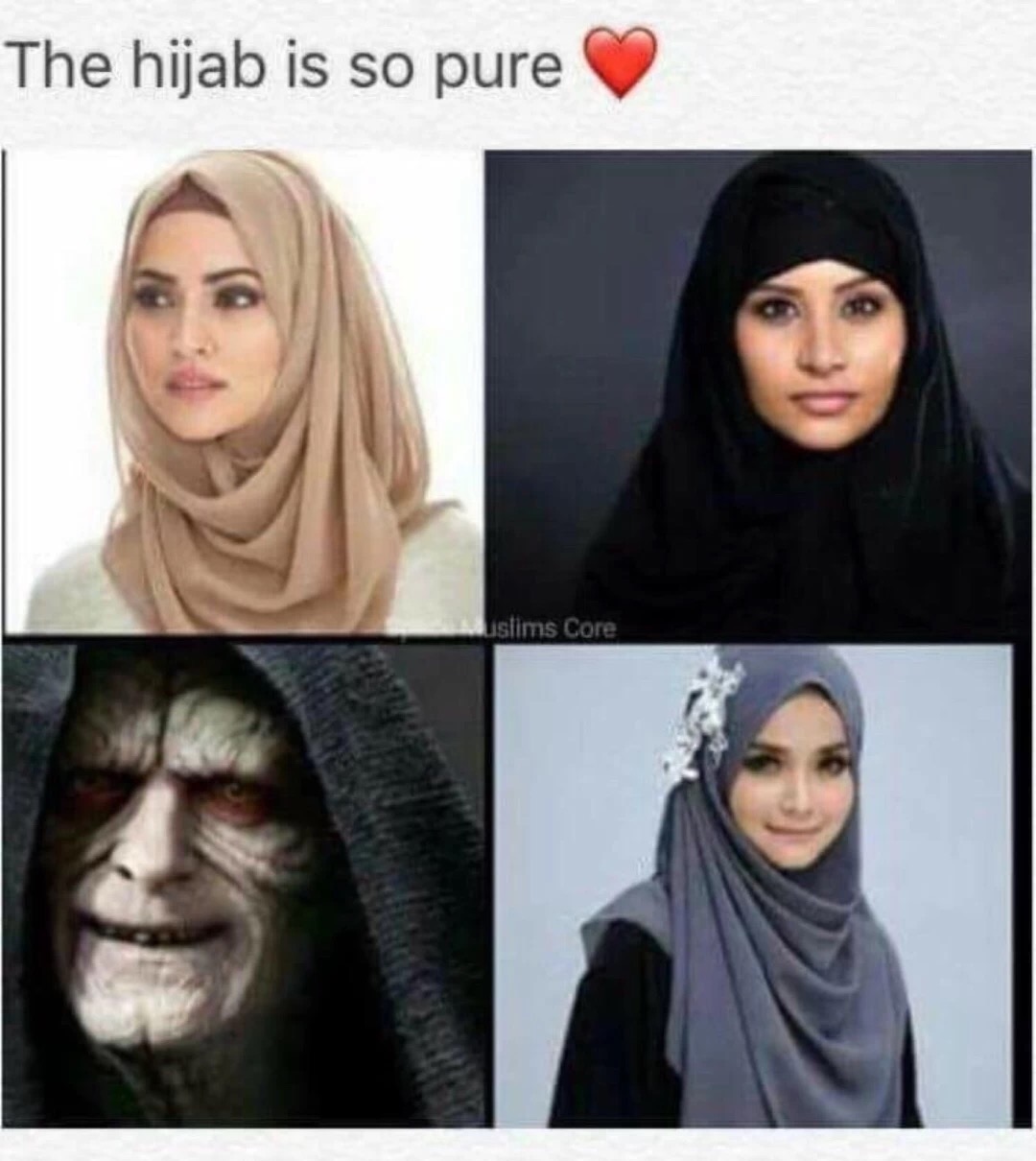 Brutal meme about hijab being object of purity.