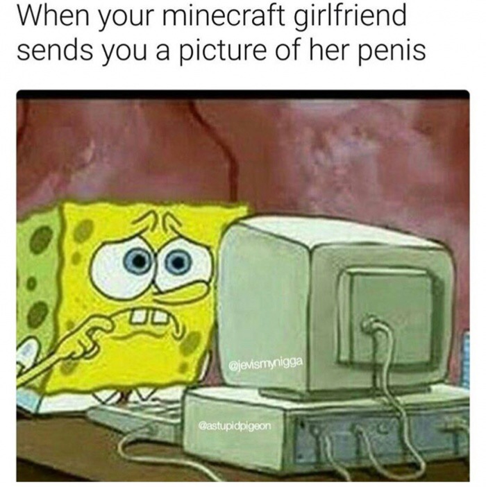 spongebob computer gif - When your minecraft girlfriend sends you a picture of her penis