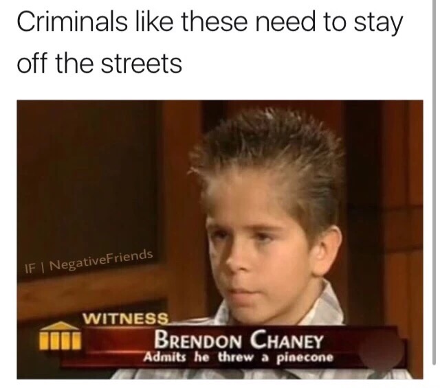 you re going to jail - Criminals these need to stay off the streets If NegativeFriends Witness Brendon Chaney Admits he threw a pinecone