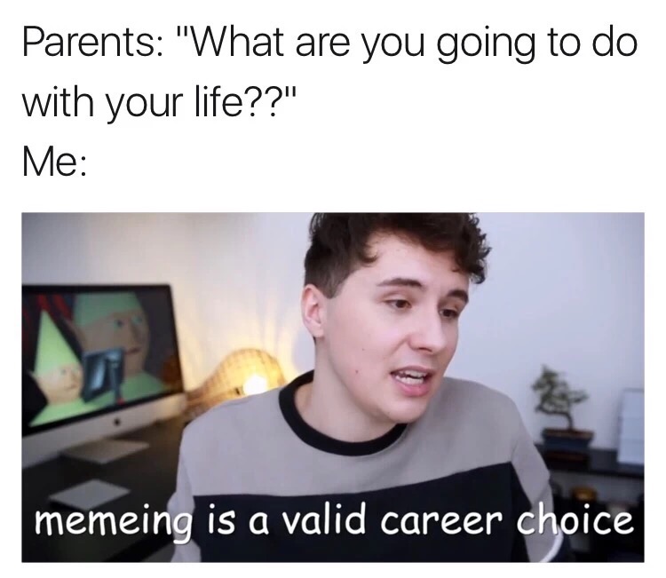 meme phobia - Parents "What are you going to do with your life??" Me memeing is a valid career choice