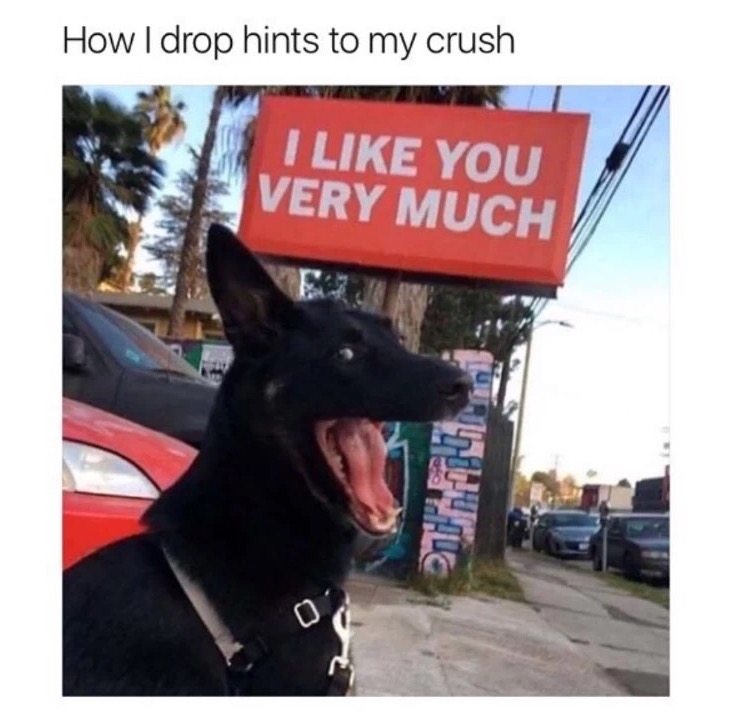 my crush meme - How I drop hints to my crush I You Very Much