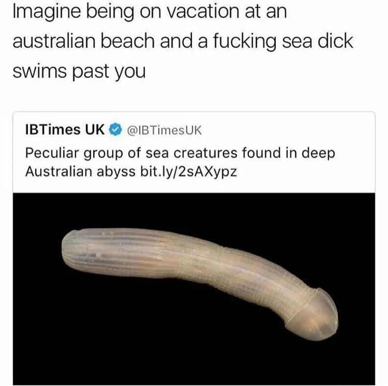 Sea creature that lives in deep Australia abyss that looks like a penis, and comment about imagine being on vacation in Australia a a sea dick swims past you.