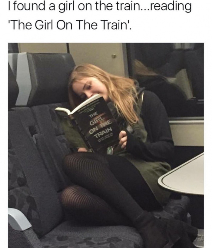 Meme of a girl on the train reading the book The Girl On The Train
