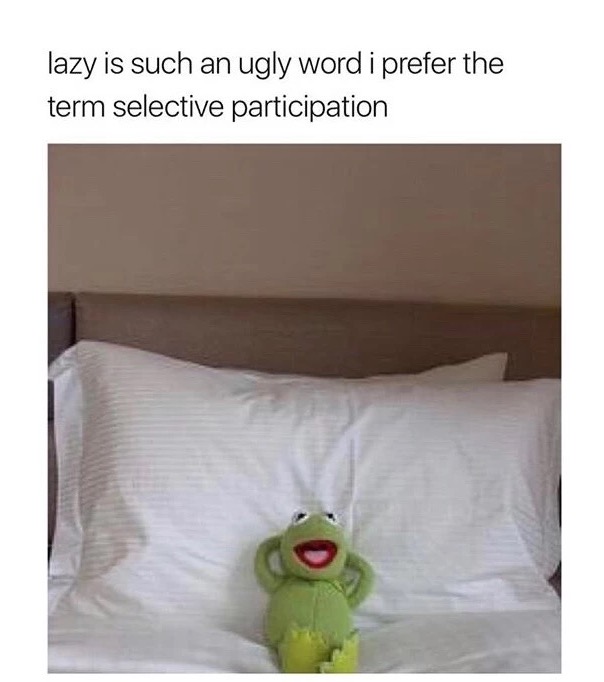 Kermit the Frog advice of him lying on a bed with arms behind his back and saying that lazy is an ugly word, better to say selective participation
