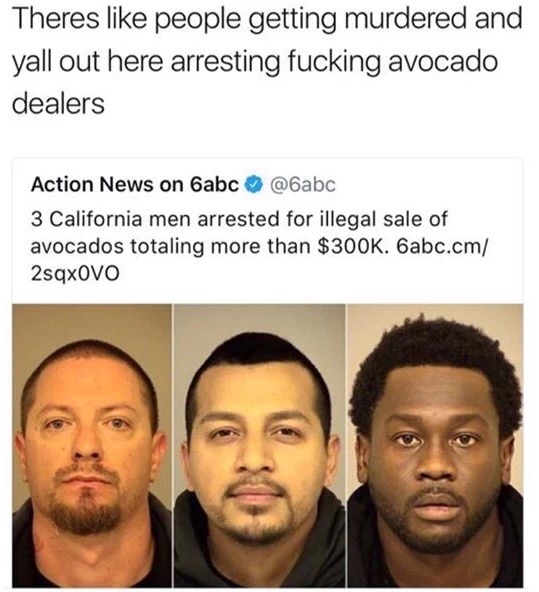 Meme about police arresting avocado dealers while murders are still out there.