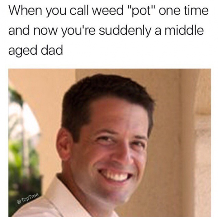 photo caption - When you call weed "pot" one time and now you're suddenly a middle aged dad Tree