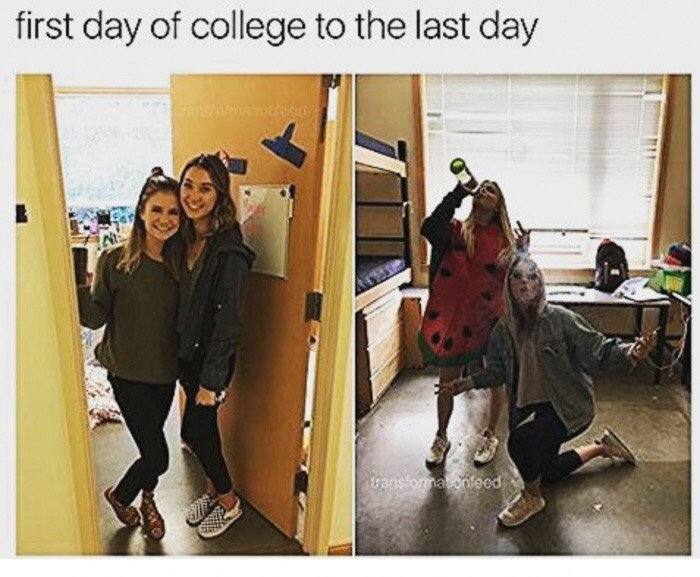 late night dank memes - first day of college to the last day uansformatonfeed