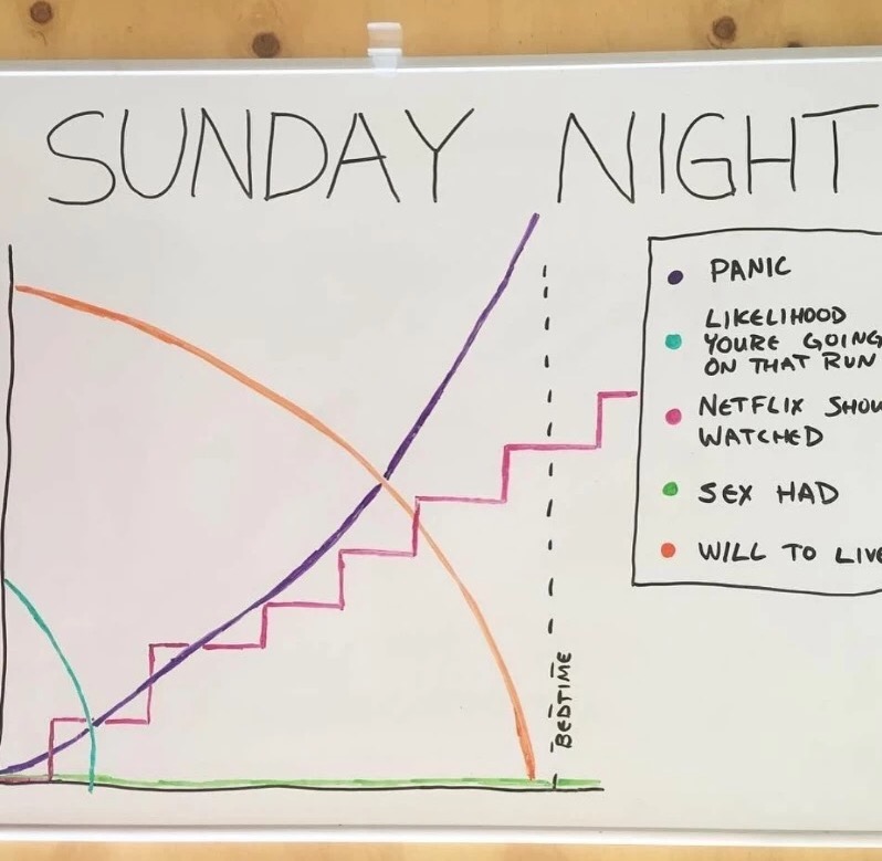 sunday night meme - Sunday Night Panic lihood Youre Going On That Run Netflix Show Watchd Sex Had Will To Live Bedtime