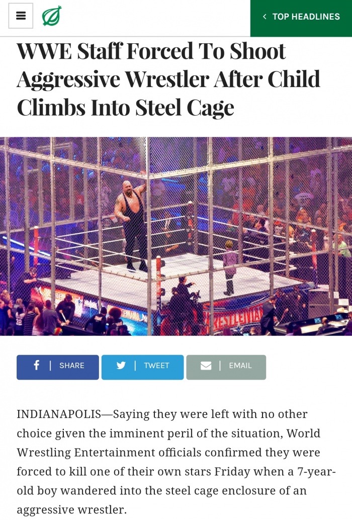 wwe cage -