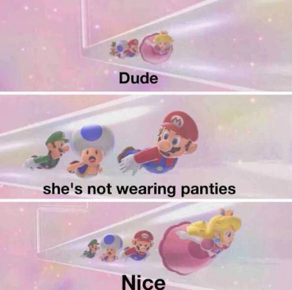 Funny mario brothers meme about how the princess is not wearing any panties