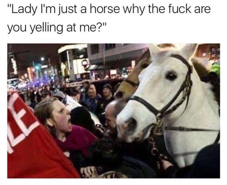 funny meme of a lady yelling at a horse at a demonstration.