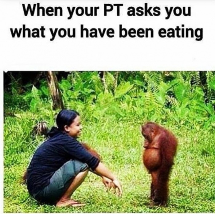 Funny meme of sad orangutan about how it feels when PT asks what have you been eating