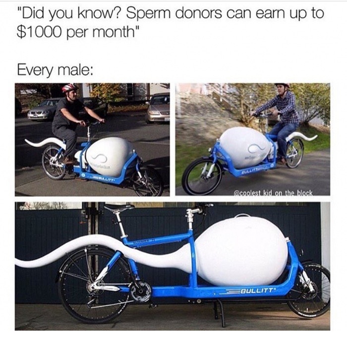 memes - fathers day sperm meme - "Did you know? Sperm donors can earn up to $1000 per month" Every male kid on the block Bullitt