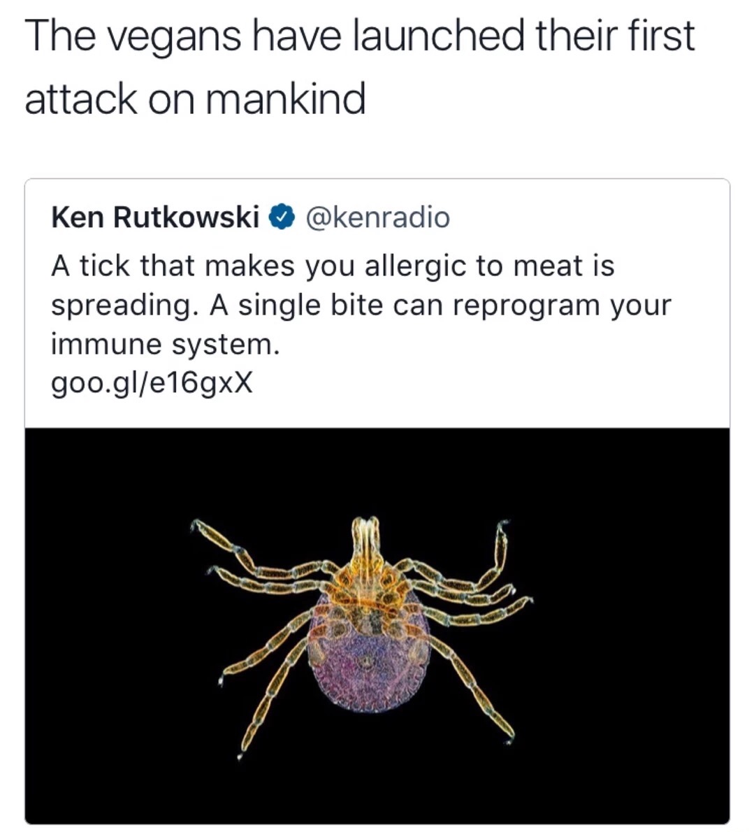 memes - vegan tick meme - The vegans have launched their first attack on mankind Ken Rutkowski ~ A tick that makes you allergic to meat is spreading. A single bite can reprogram your immune system. goo.gle16gxX