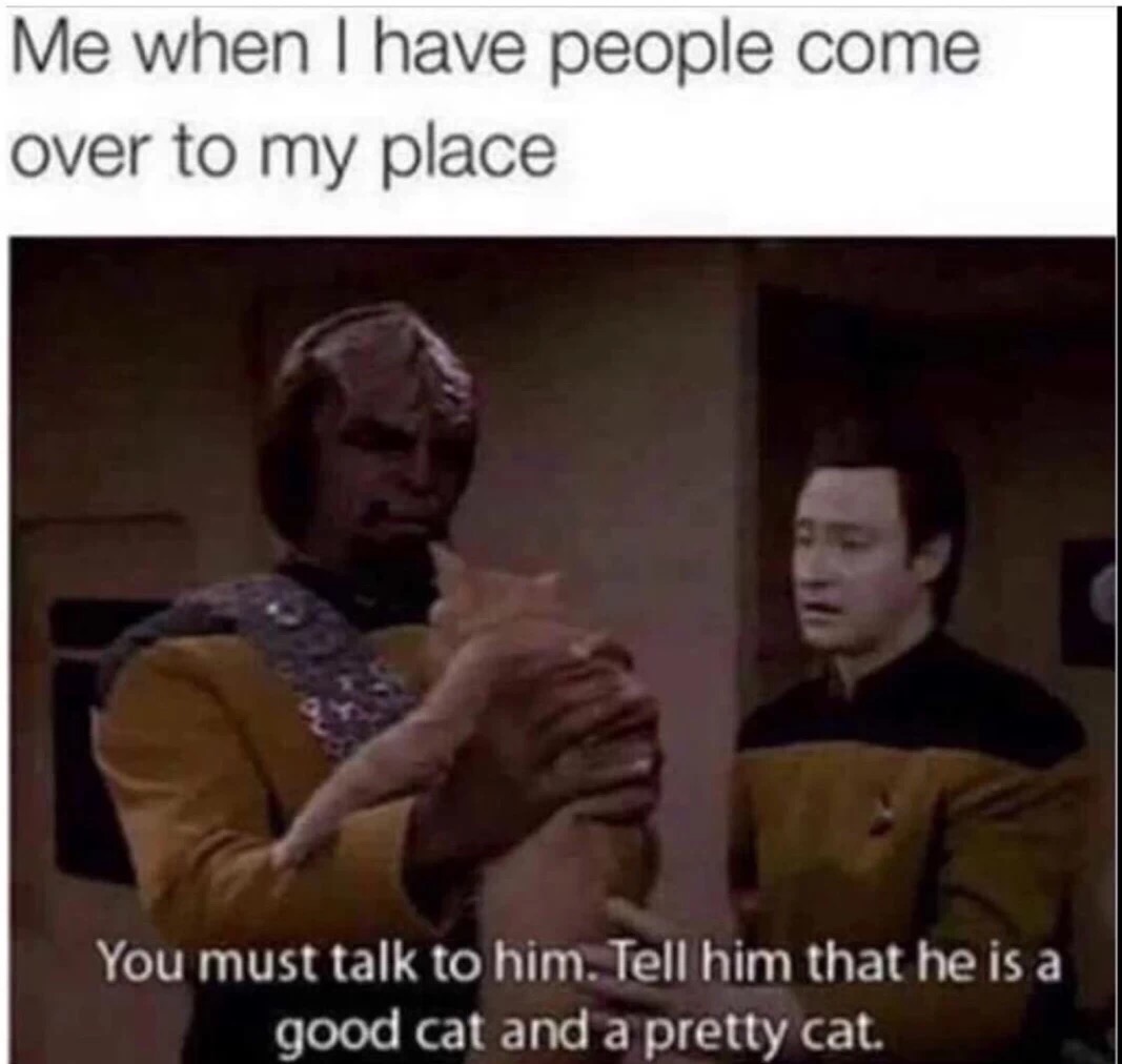 memes - data star trek cat - Me when I have people come over to my place You must talk to him. Tell him that he is a good cat and a pretty cat.