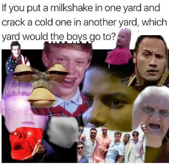 memes - photo caption - If you put a milkshake in one yard and crack a cold one in another yard, which yard would the boys go to?