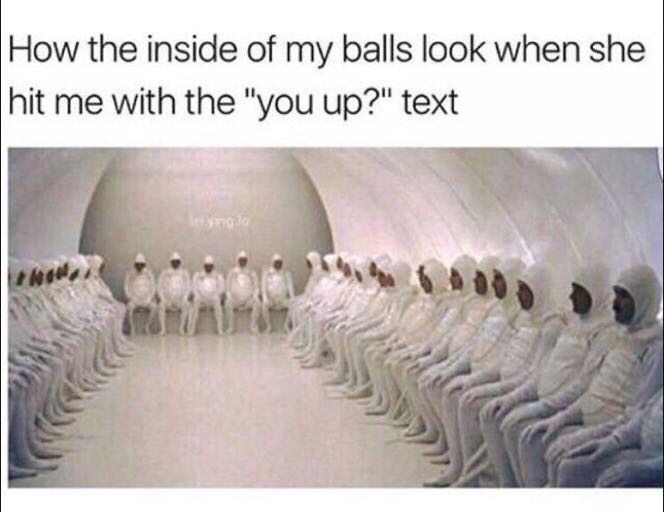 memes - inside my balls - How the inside of my balls look when she hit me with the "you up?" text