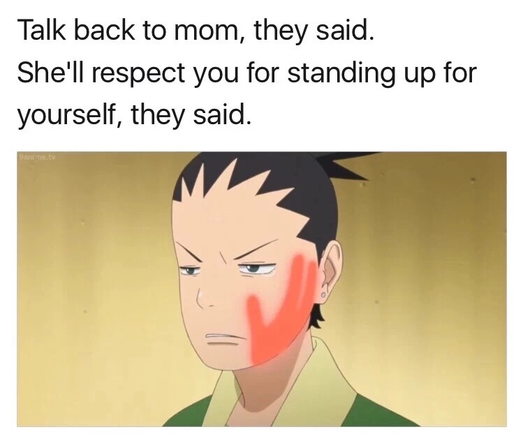 memes - Talk back to mom, they said. She'll respect you for standing up for yourself, they said.