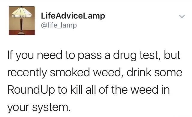 meme stream - scottish trainer twitter - LifeAdviceLamp If you need to pass a drug test, but recently smoked weed, drink some RoundUp to kill all of the weed in your system.