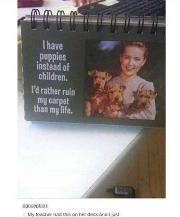 meme stream - have puppies instead of children i d rather ruin my carpet then my live - mmmm I have puppies instead of children. I'd rather ruin my carpet than my life. danception My teacher had this on her desk and I just