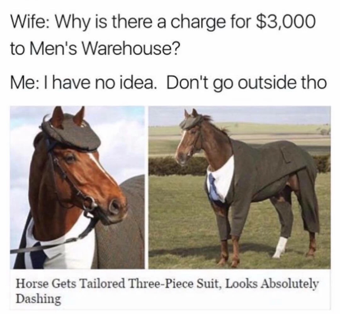 meme stream - horse gets three piece suit - Wife Why is there a charge for $3,000 to Men's Warehouse? Me I have no idea. Don't go outside tho Horse Gets Tailored ThreePiece Suit, Looks Absolutely Dashing