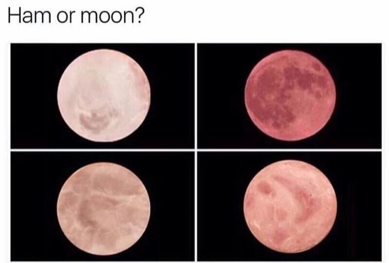 meme stream - ham or moon - Ham or moon?