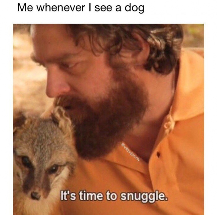 meme - tim and eric snuggler - Me whenever I see a dog wilfordorimiy It's time to snuggle.