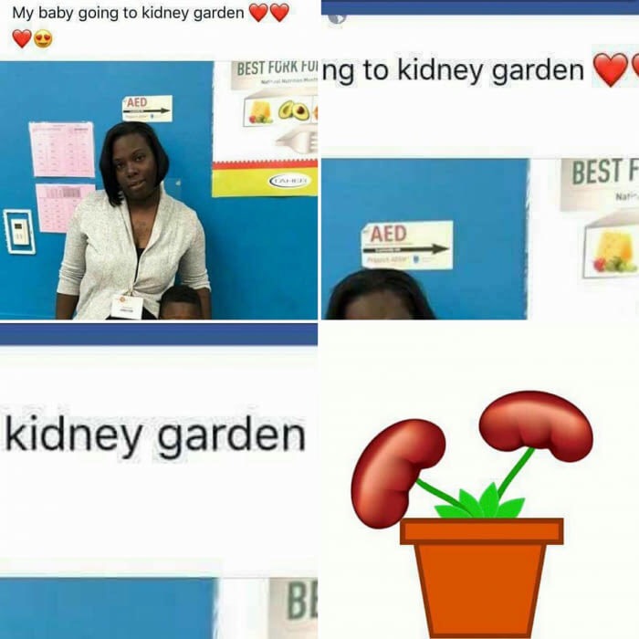 meme - kidney garden - My baby going to kidney garden Best Fork Fui ng to kidney garden Bestf Ca Aed kidney garden Bi