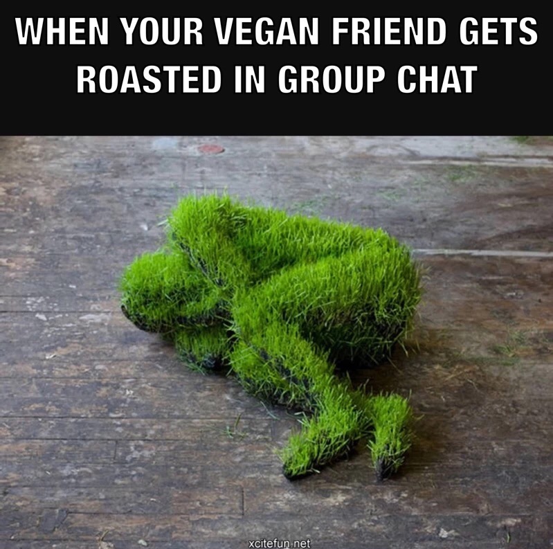 meme - mathilde roussel giraudy - When Your Vegan Friend Gets Roasted In Group Chat xcitefun.net