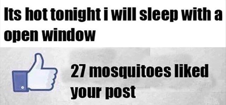 meme - angle - Its hot tonight i will sleep with a open window 27 mosquitoes d your post