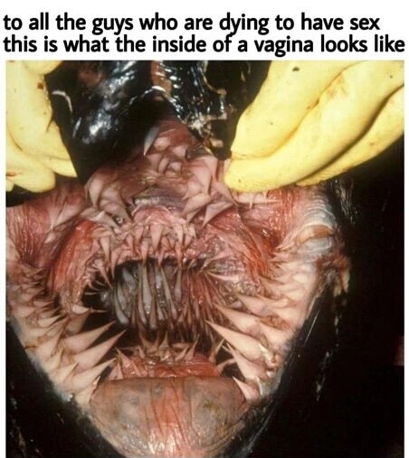 meme - leatherback turtle mouth - to all the guys who are dying to have sex this is what the inside of a vagina looks