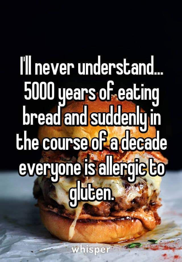 memes gluten free - Ill never understand. 5000 years of eating bread and suddenly in the course of a decade everyone is allergic to gluten. whisper
