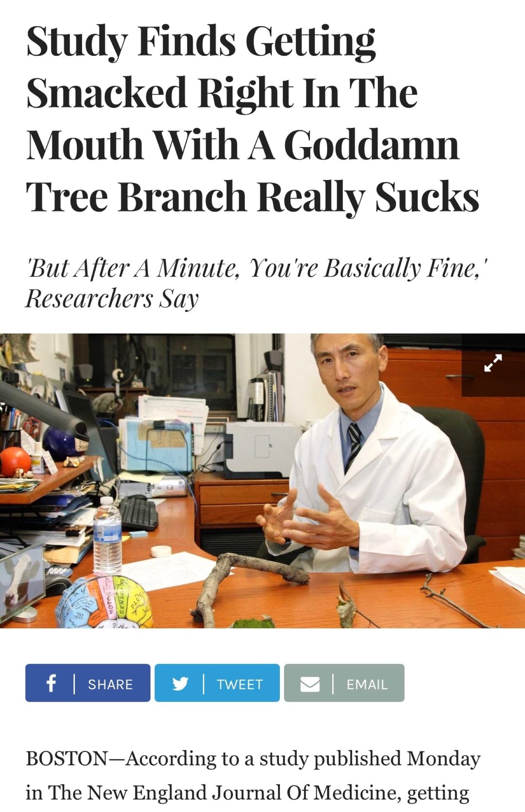 study finds that hearing an opposing viewpoint causes no harm - Study Finds Getting Smacked Right In The Mouth With A Goddamn Tree Branch Really Sucks 'But After A Minute, You're Basically Fine,' Researchers Say Motor Senso f Y Tweet Email BOSTONAccording