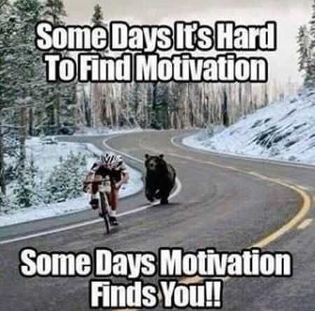 Motivational meme of a bear chasing a biker.