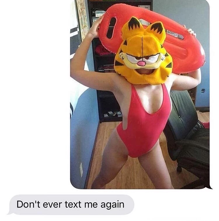 Woman texting a swimsuit picture while wearing a Garfield face mask, dude asks her to never text her again.