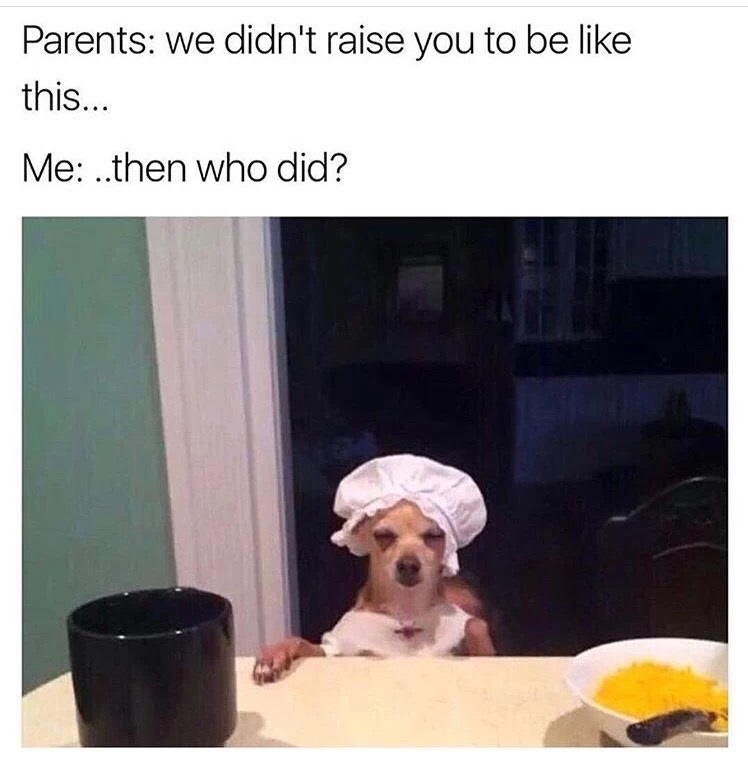When parents claim they didn't raise you like this, with funny pic of dog at the table