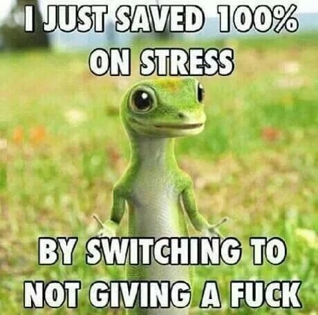 meme stream - just saved 100 on stress - Just Saved 100% On Stress By Switching To Not Giving A Fuck
