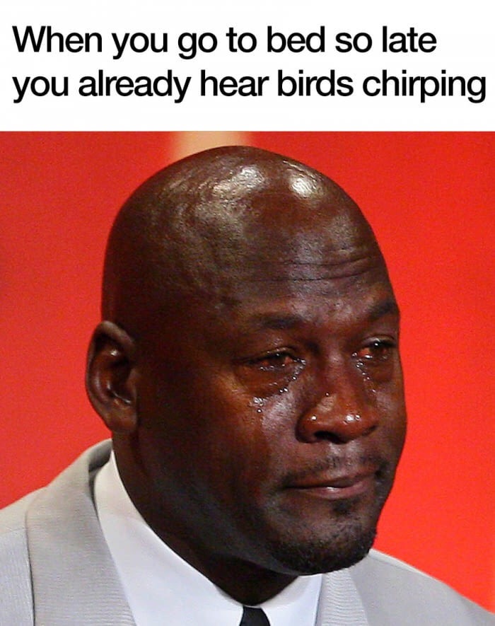 meme stream - michael jordan hall of fame - When you go to bed so late you already hear birds chirping