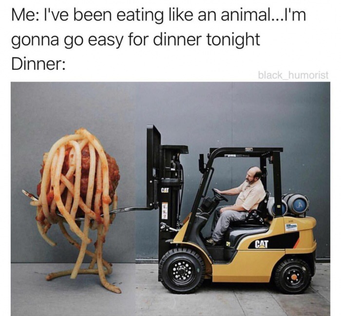 meme stream - photography mashup - Me I've been eating an animal...I'm gonna go easy for dinner tonight Dinner black_humorist Cat
