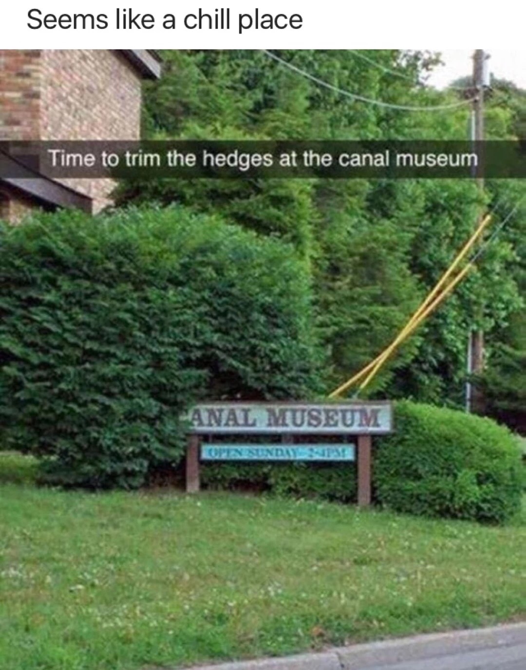 meme stream - funniest snapchats - Seems a chill place Time to trim the hedges at the canal museum Anal Museum Opinisexdays