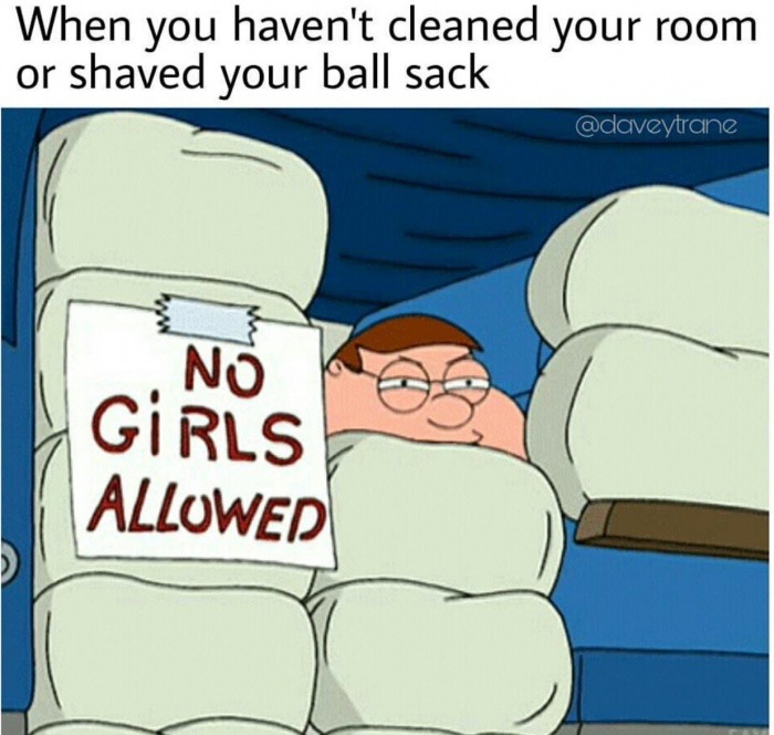 memes - no girls allowed meme - When you haven't cleaned your room or shaved your ball sack No Girls Allowed
