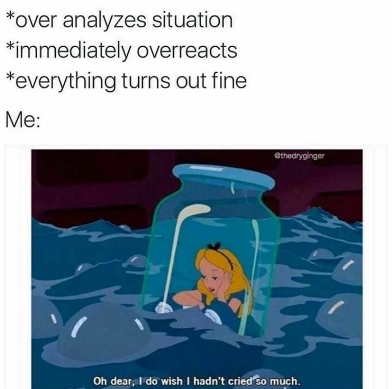 memes - anxiety meme - over analyzes situation immediately overreacts everything turns out fine Me Oh dear, I do wish I hadn't cried so much.