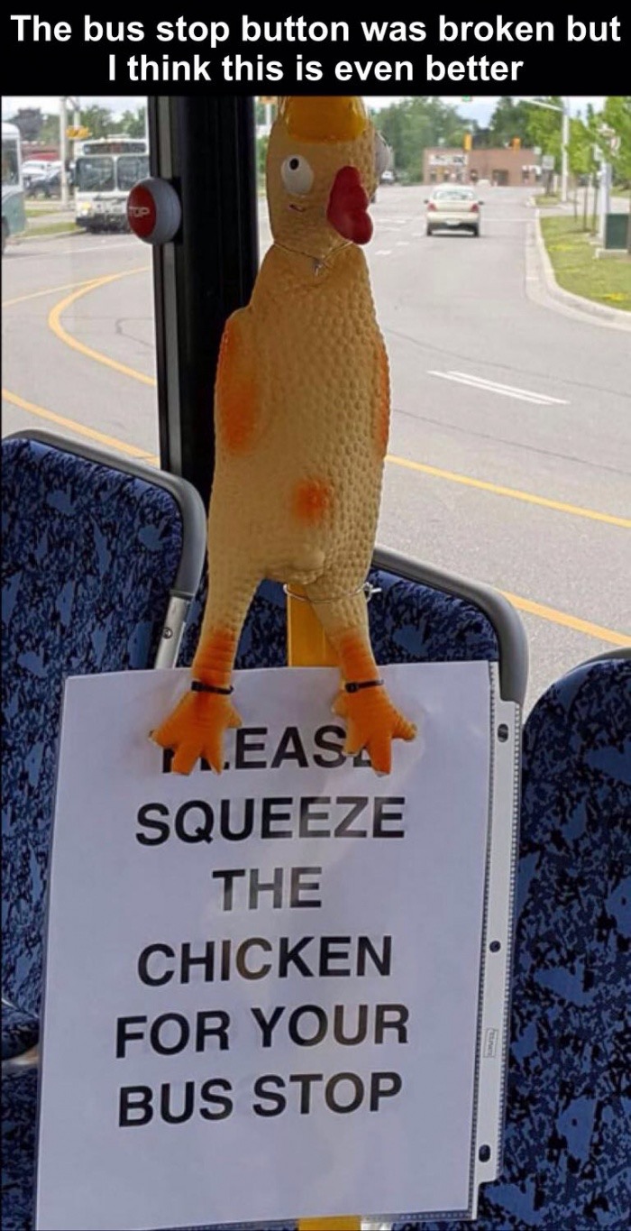 memes - Laughter - The bus stop button was broken but I think this is even better Easa Squeeze The Chicken For Your Bus Stop