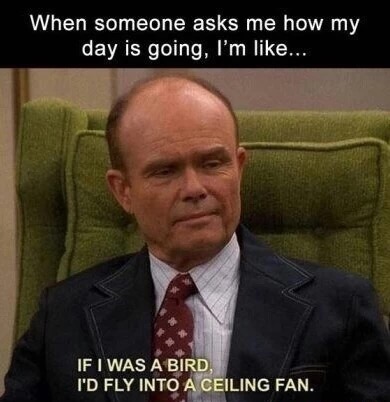 memes - someone asks me how my day - When someone asks me how my day is going, I'm ... If I Was A Bird, I'D Fly Into A Ceiling Fan.