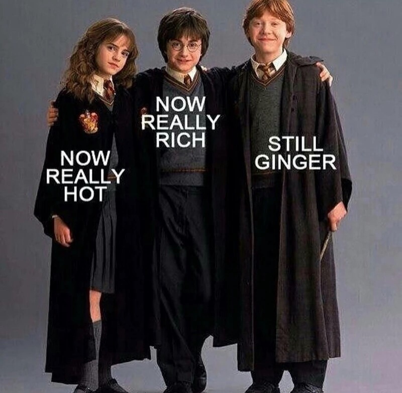 memes - perkins harry potter - Now Really Rich Now Really Hot Still Ginger